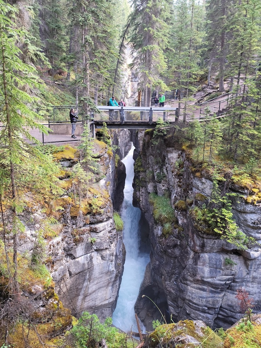 Maligne Canyon