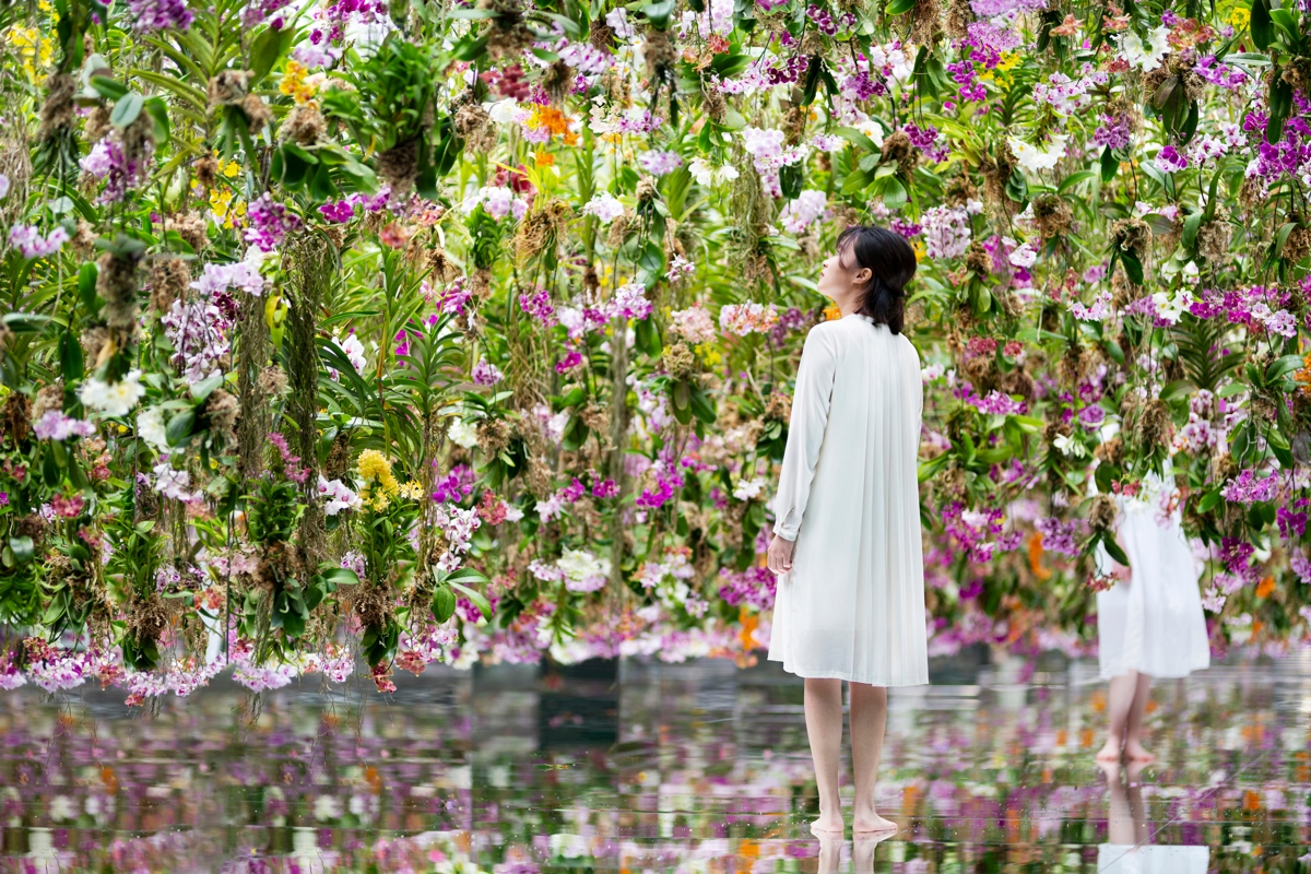 teamlab planets / チームラボ プラネッツ