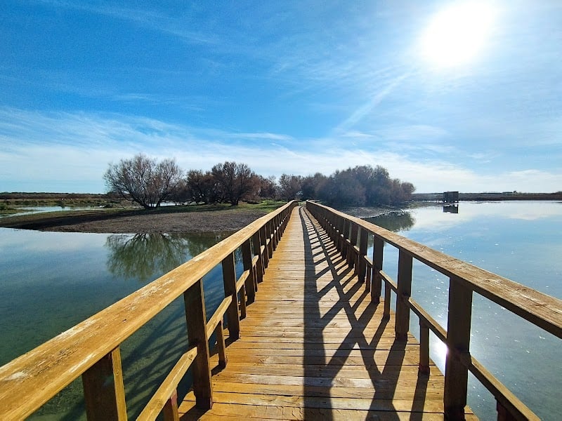 Tablas del Daimiel
