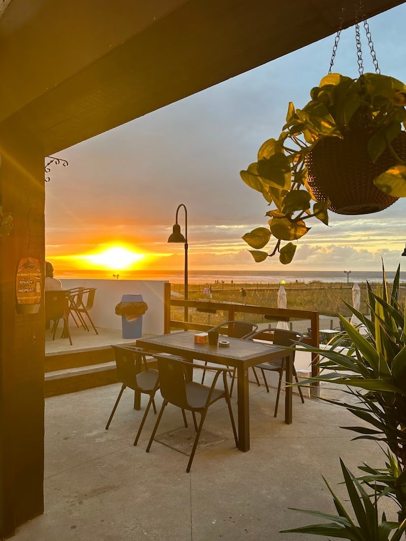 Vega sunset bar - Chiringuito