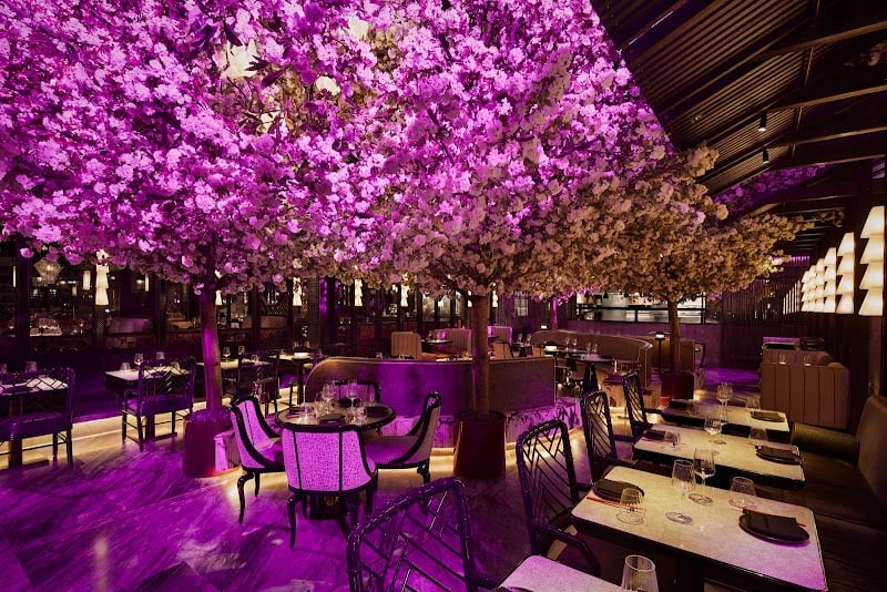 Tattu London - Chinese