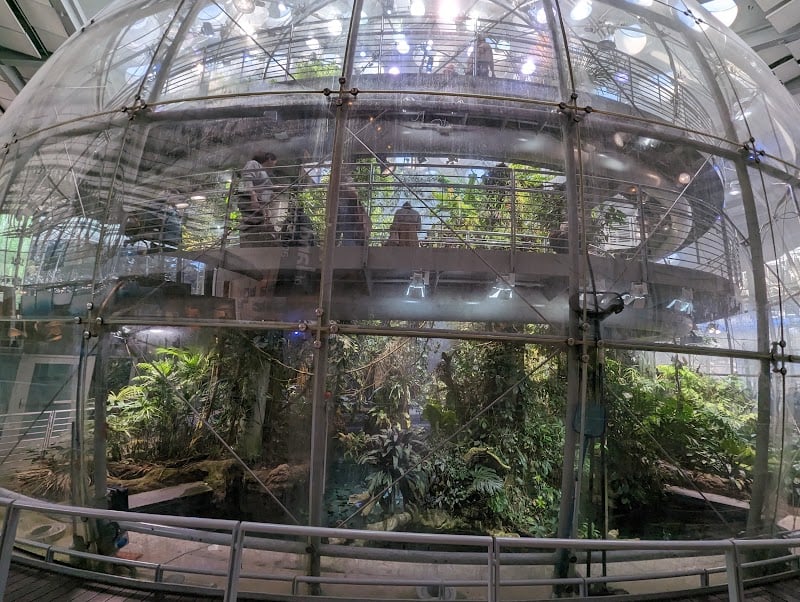 California Academy of Sciences