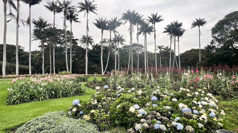 Jardín Botánico