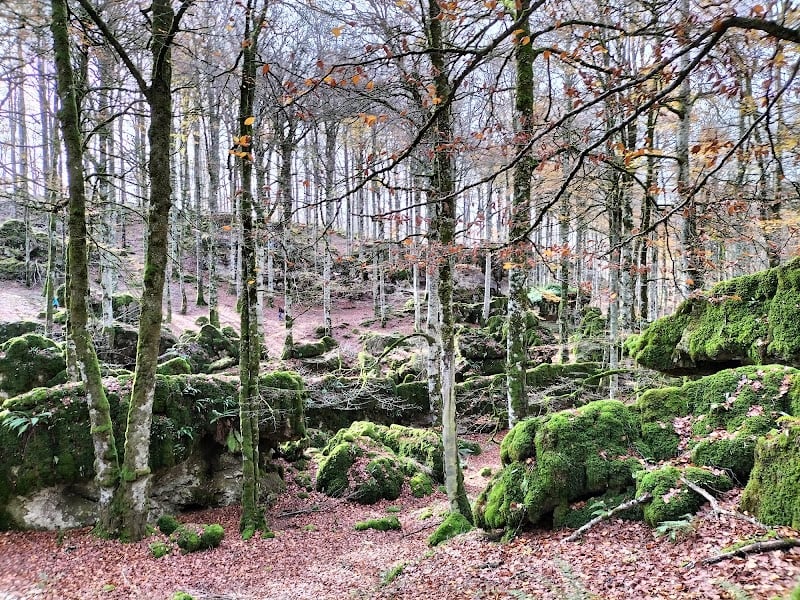 Urbasa - Navarra