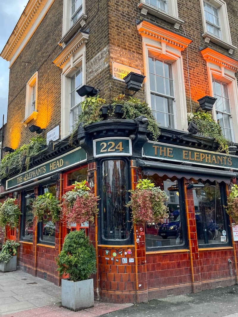 The Elephants Head - Rock & Roll pub