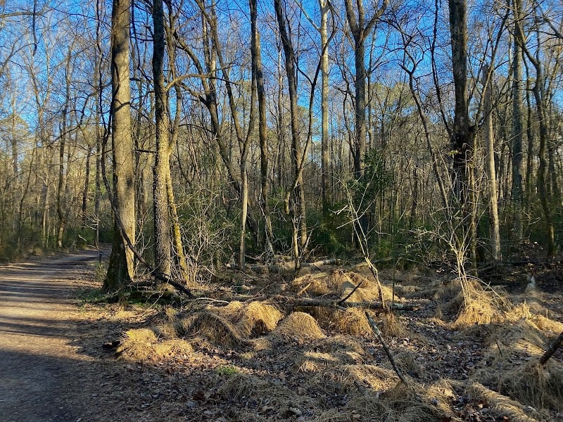 Al Buehler Trail Parking