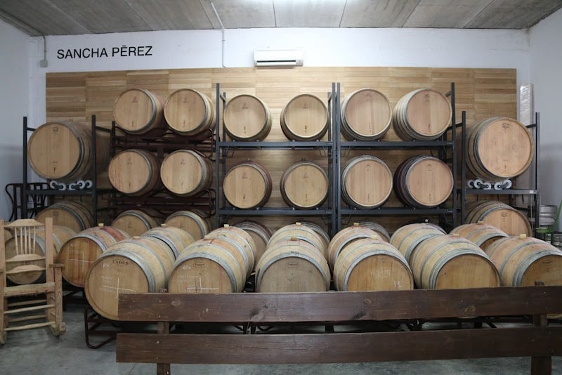 Sancha Pérez - Bodega