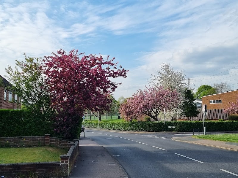 Watford