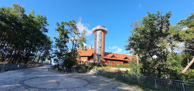 Dębki