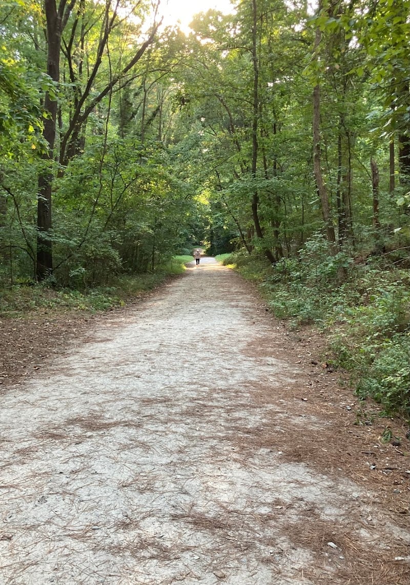Al Buehler Trail: Public Parking
