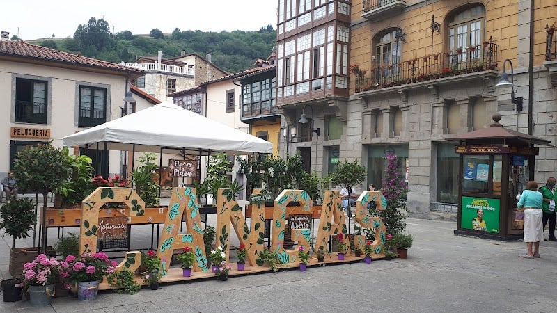 Cangas del Narcea - Asturias