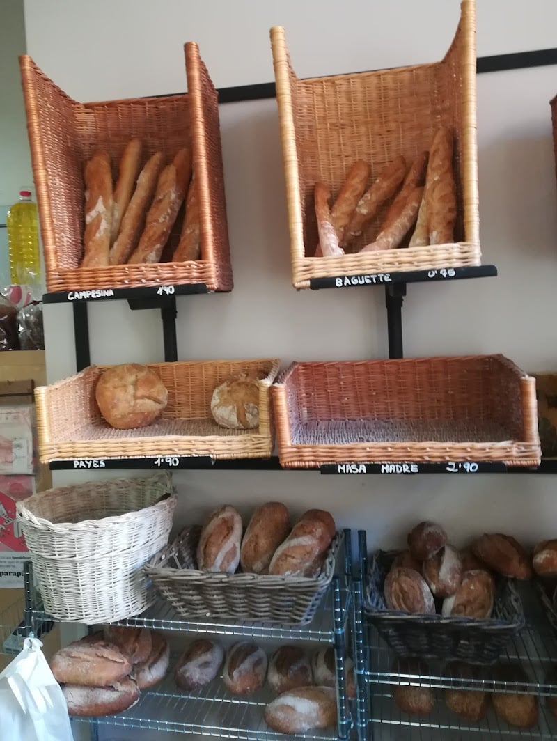 Masa Madre