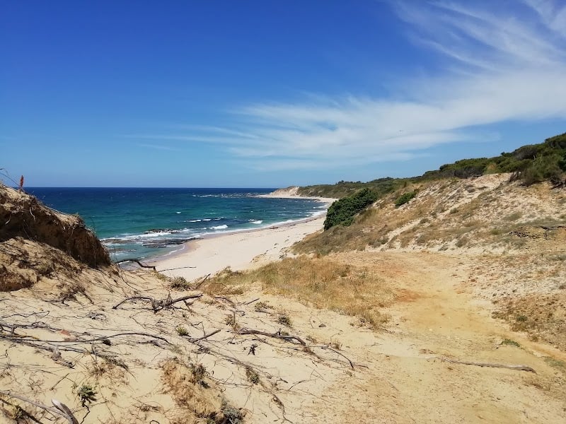 Playa Punta Paloma