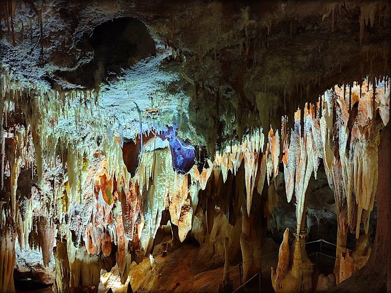 Cuevas del Aguila - Cueva