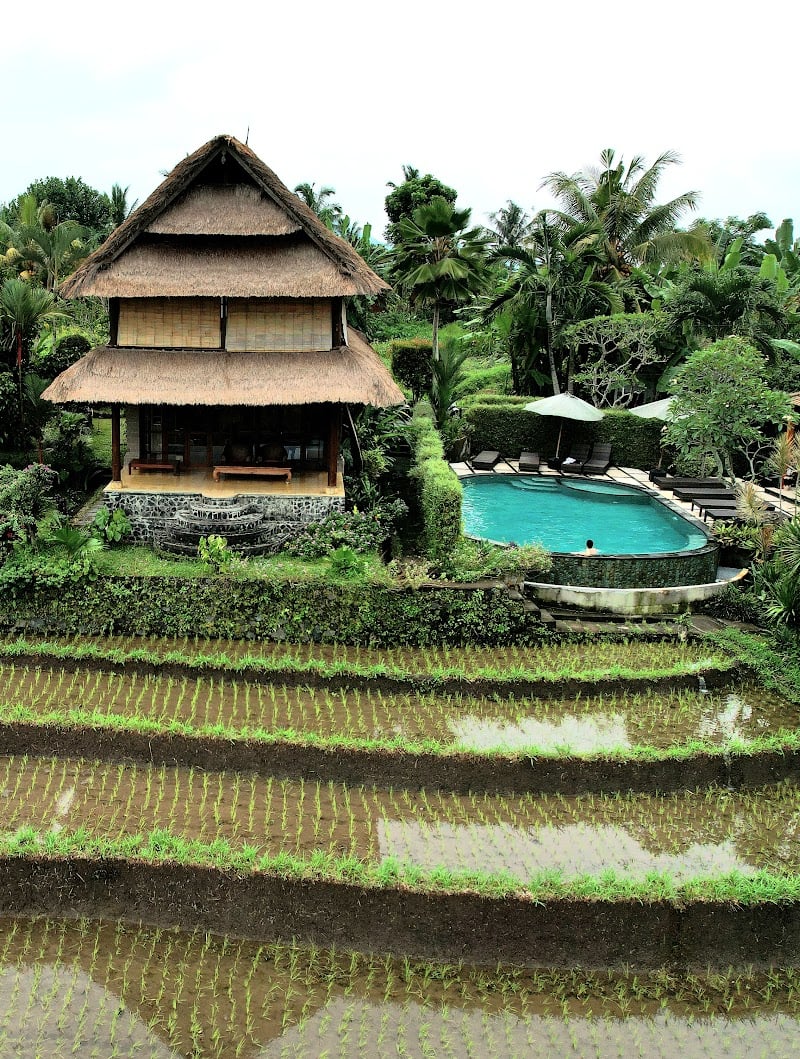 Kubu Tani