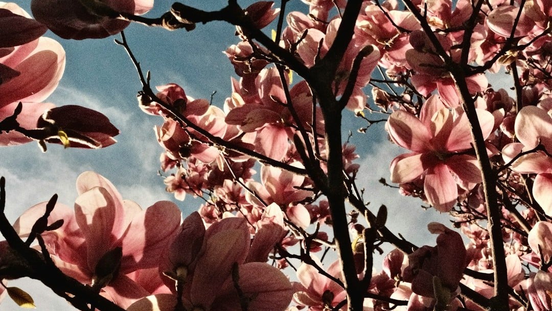 ABRIL