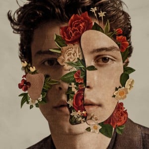 Señorita - Song