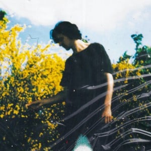 Fascination - Song