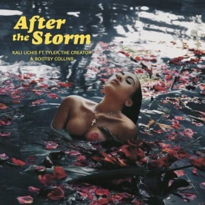 After The Storm - Song