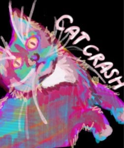 Cat Crash - Artist
