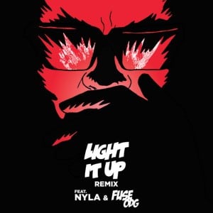 Light It Up (remix) - Song