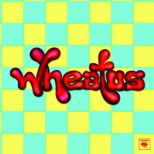 Teenage Dirtbag - Song