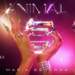 Animal - Album
