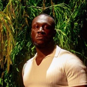 Stormzy - Artist