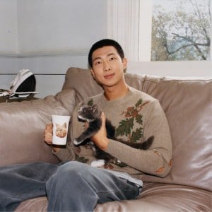 RM - Artist