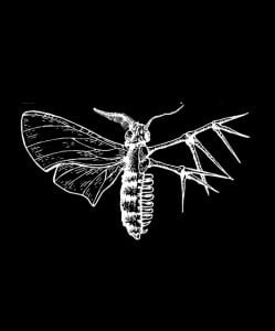 Holding Absence