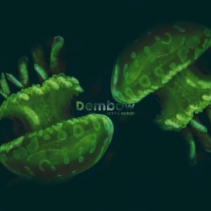 Dembow - Song