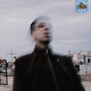 Bajo De La Piel - Song