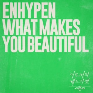What Makes You Beautiful - Song