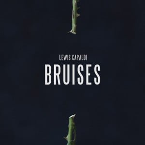 Bruises - Song