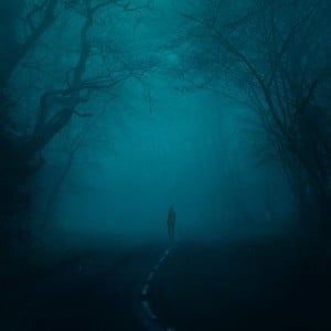 snowfall - Song