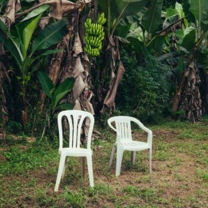 NUEVAYoL - Song