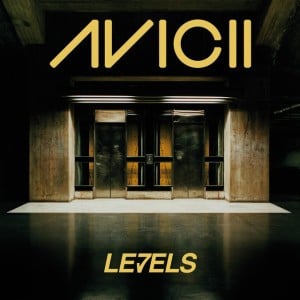 Levels / Avicii - Song