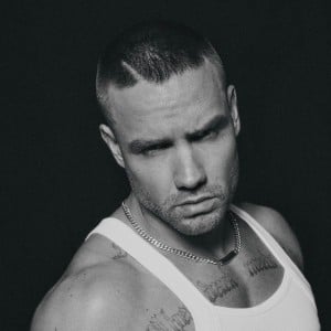 Liam Payne - Artist