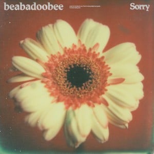 Sorry - Song