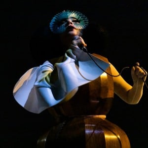Björk - Artist