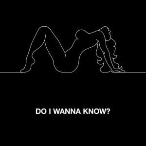 Do I Wanna Know? - Song