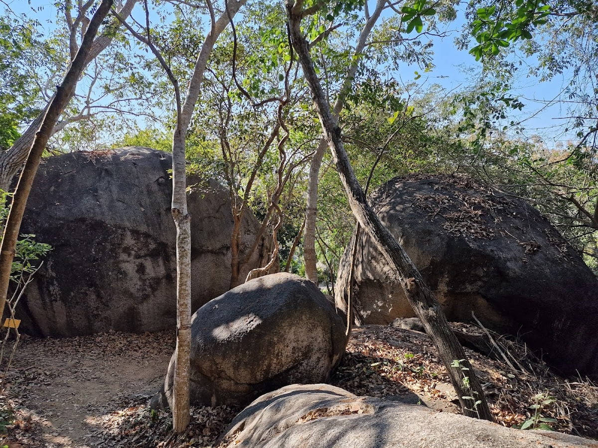 Jardín Botánico Acapulco