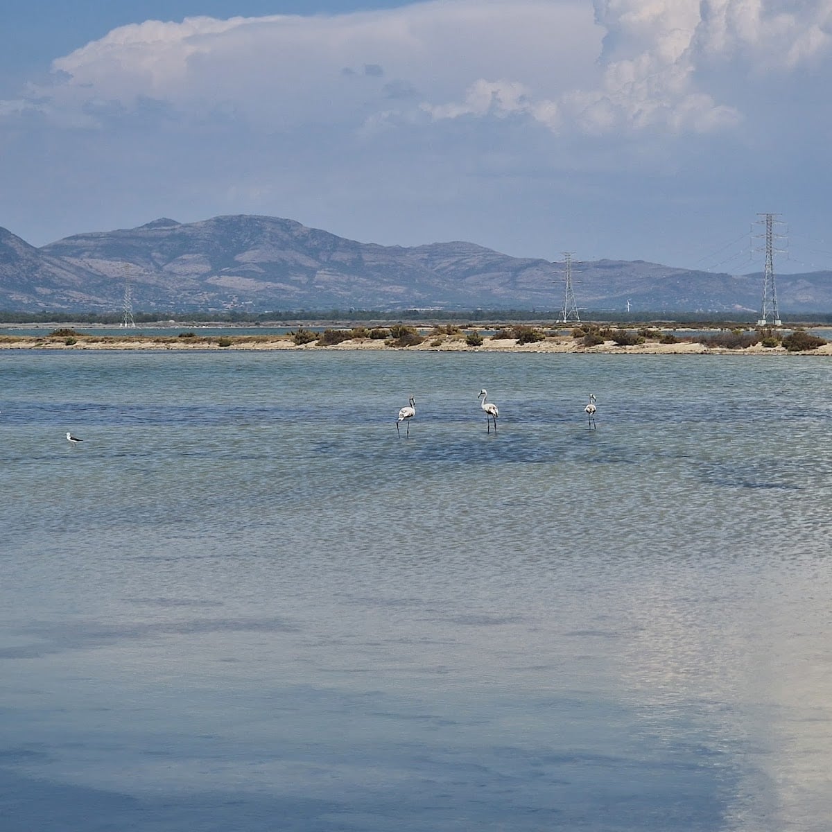 Isola Cruccianas