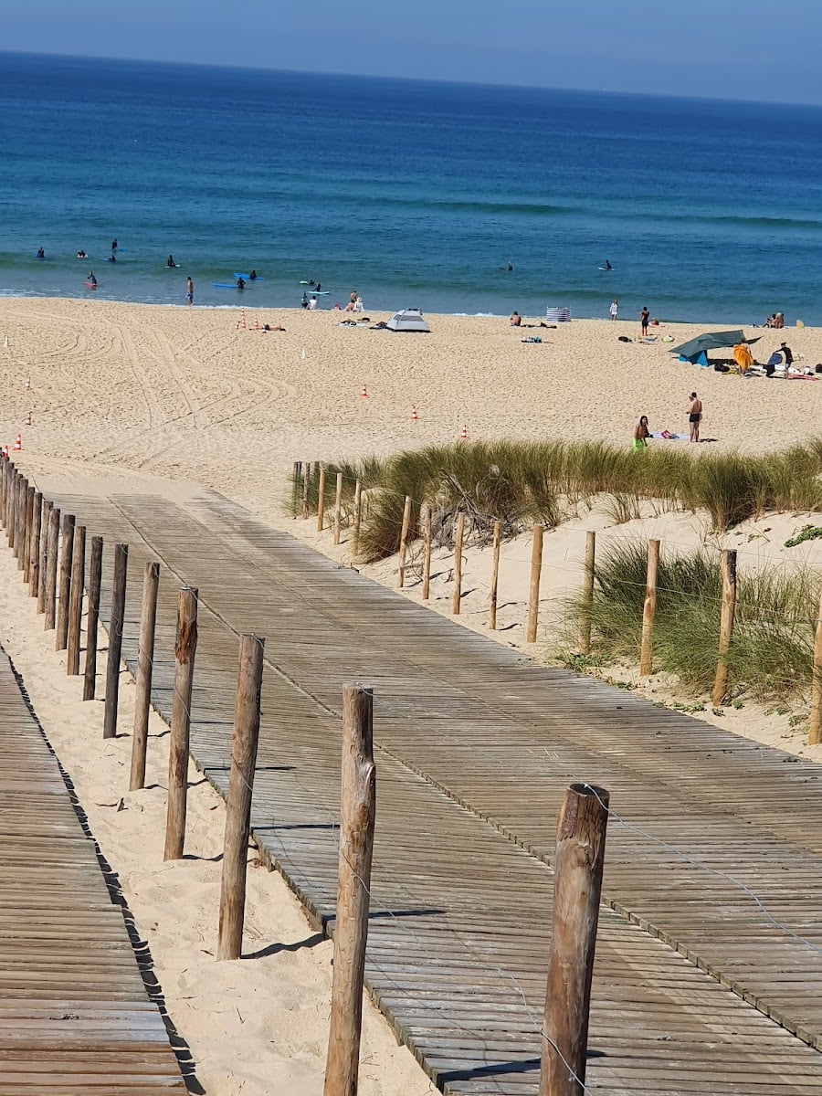 Cap Ferret