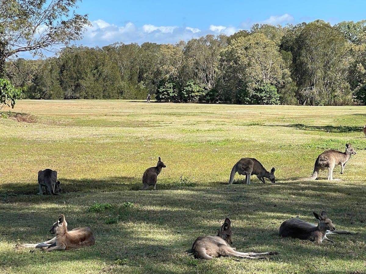 Coombabah Lake Conservation Park