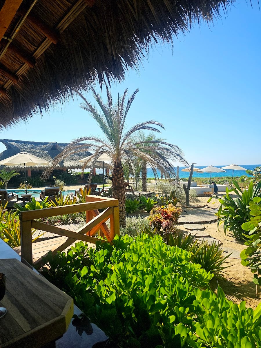 Lú Veé Oasis