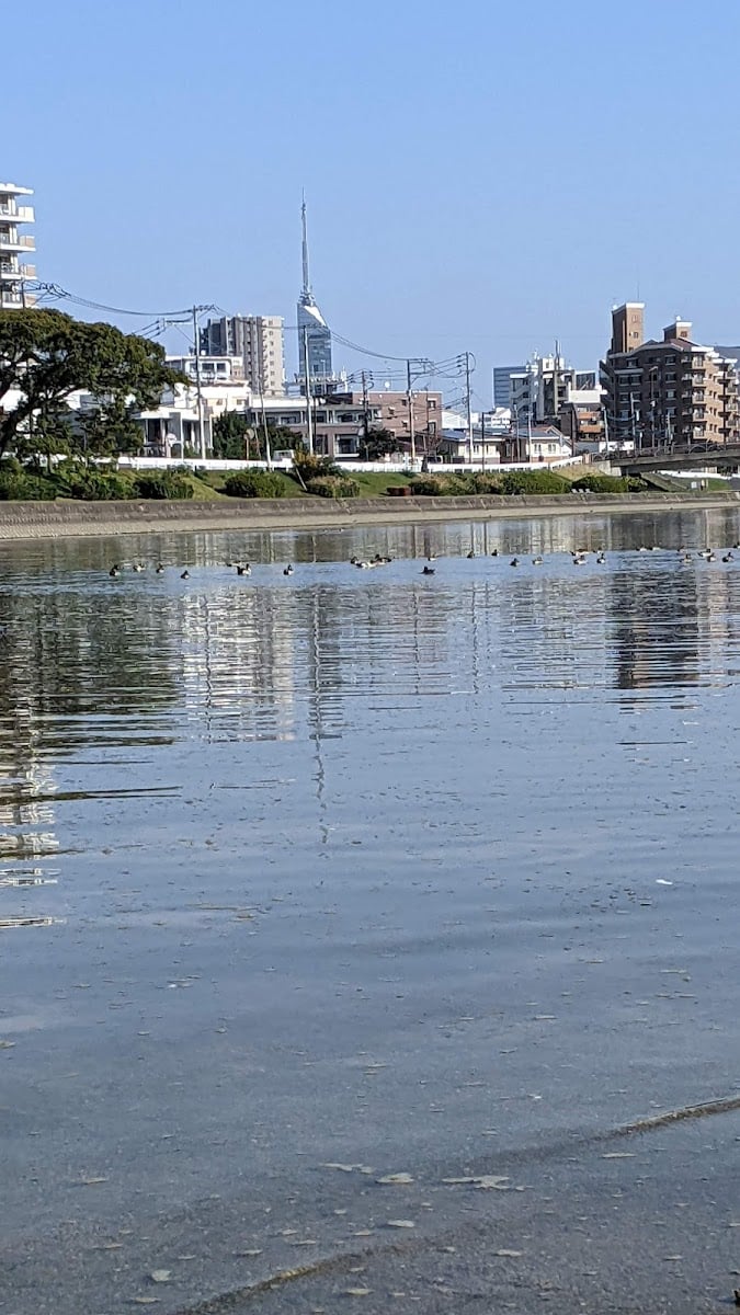 百道浜
