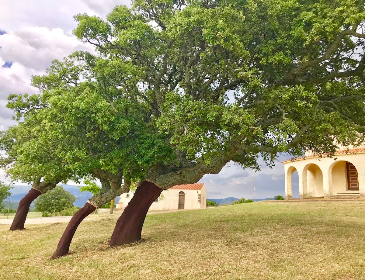 Chiesa di Giovanni Battista – Sa Mela