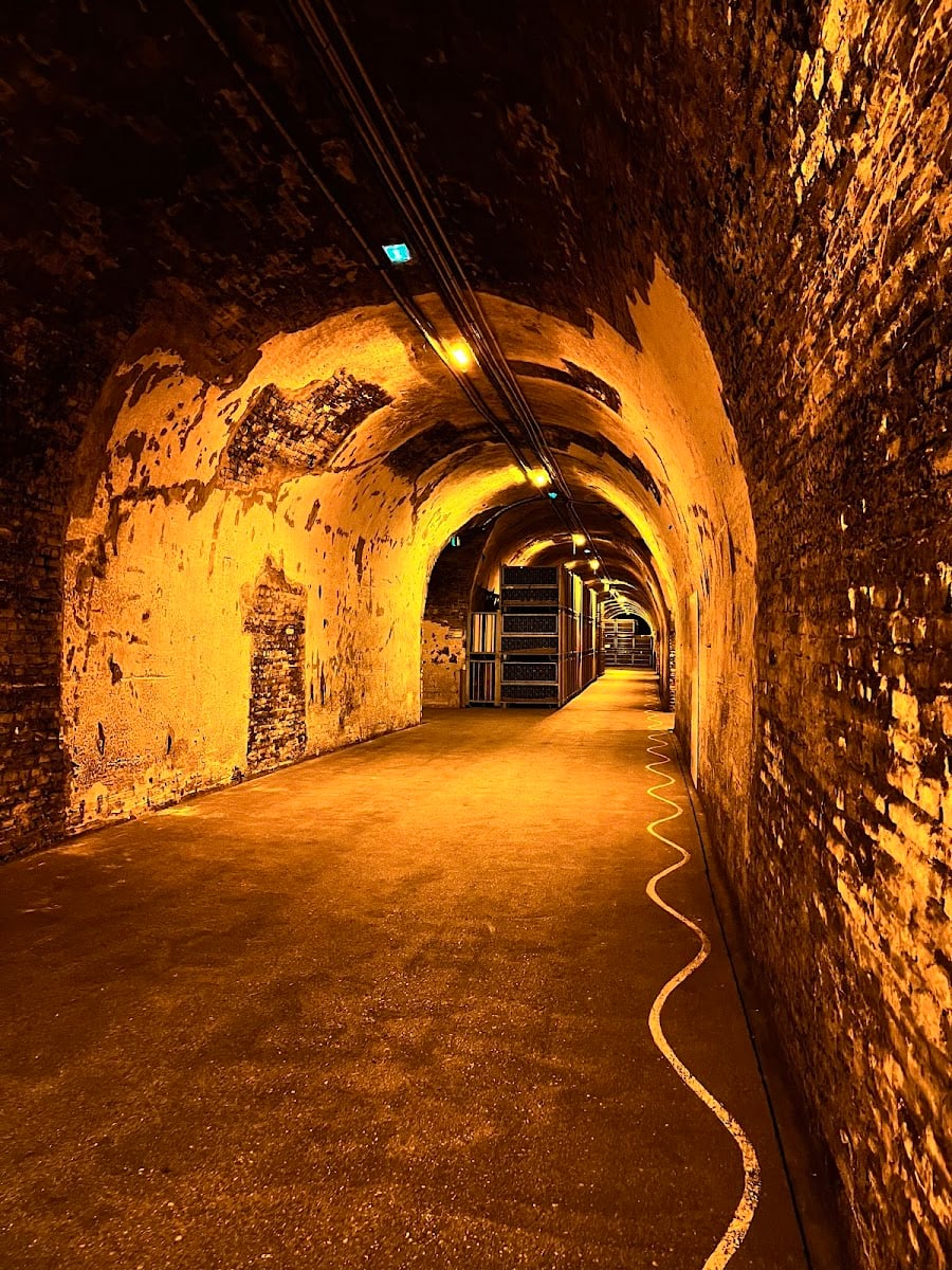 Maison Ruinart - Champagne Tour