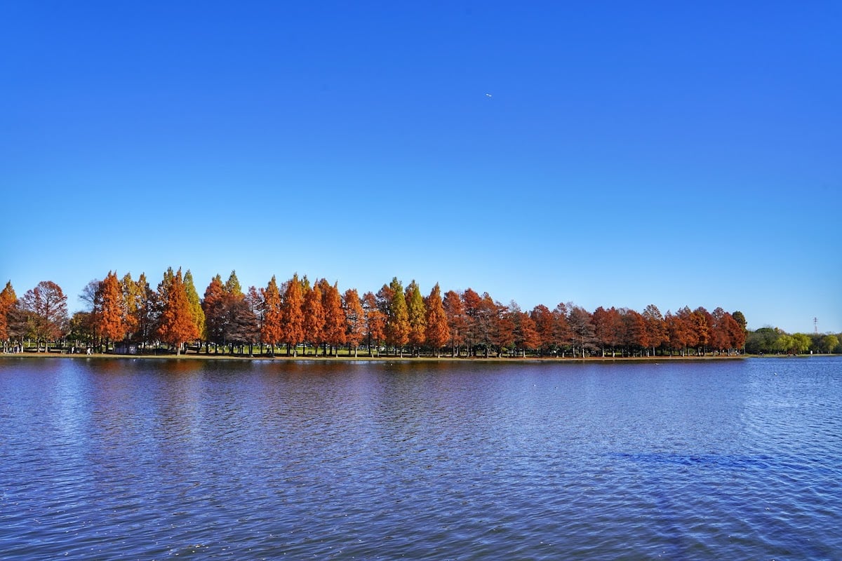 Mizumoto Park